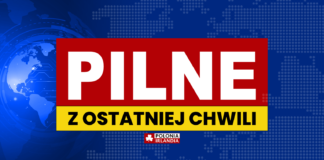 Śmierć rodzeństwa w Irlandii - Garda potwierdza aresztowanie