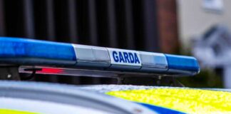 Brutalna kradzież samochodu w Irlandii - bandyta na wolności