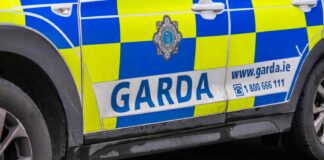 Kierowcom w Irlandii grozi za to konfiskata pojazdu - ostrzega Garda