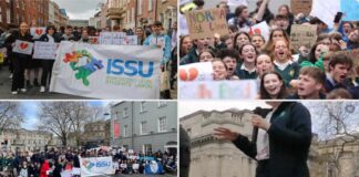 Protesty w Irlandii - wzywają ministra do podjęcia działań