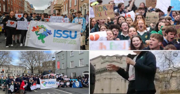 Protesty w Irlandii - wzywają ministra do podjęcia działań