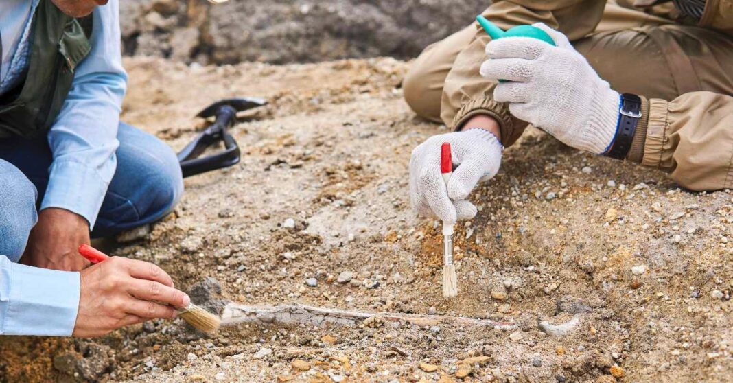 W Irlandii dokonano fascynującego odkrycia archeologicznego W Irlandii dokonano fascynującego odkrycia archeologicznego