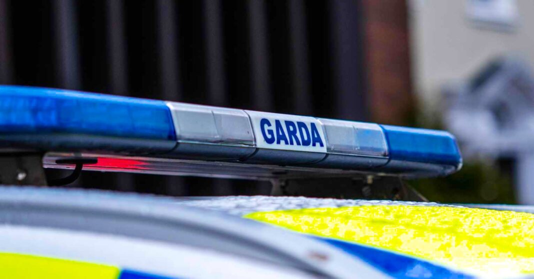 Uzbrojone jednostki Gardy w Dublinie. Jest też apel do mieszkańców