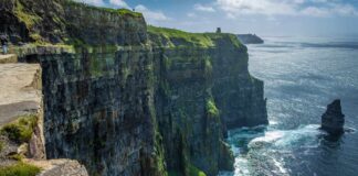 Zaskakujące znalezisko w Irlandii - to największy okaz na świecie