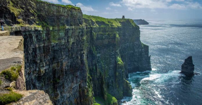 Zaskakujące znalezisko w Irlandii - to największy okaz na świecie