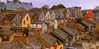 Rekordowa liczba bezdomnych w Irlandii – apel o pilne działania2