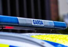Uprowadzenie kobiety w Irlandii - Garda prowadzi śledztwo