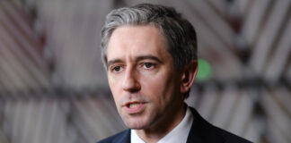 Zaostrzenie przepisów - irlandzki rząd przyjął propozycję