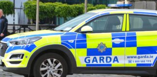 Wzmożone kontrole na irlandzkich drogach - akcja Gardy