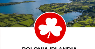 Facebook Polonia Irlandia