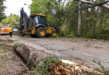 Tysiące osób w Irlandii bez prądu - jest pomoc z Polski