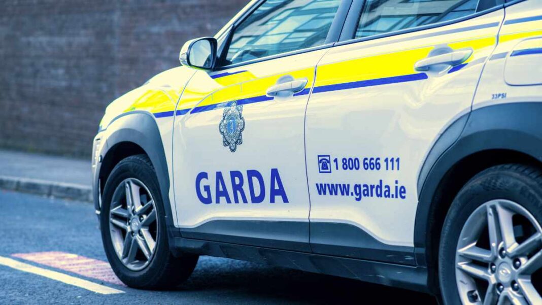 Masowe zatrzymania kierowców w Irlandii - nowy system Gardy Masowe zatrzymania kierowców w Irlandii - nowy system Gardy