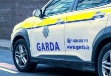 Masowe zatrzymania kierowców w Irlandii - nowy system Gardy