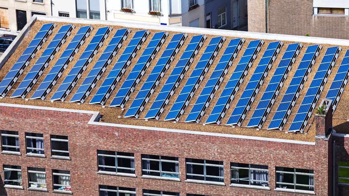 Zielona energia w Irlandii zmienia zasady gry