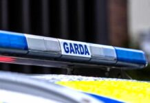 Makabryczne odkrycie w Irlandii - Tragiczna śmierć ojca i syna