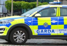 Nowy system w Irlandii - zaostrzona kontrola kierowców