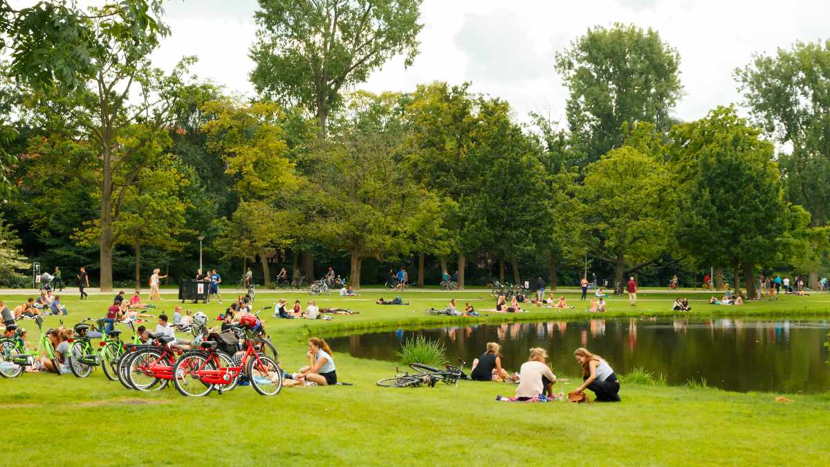 Słońce wraca do Irlandii – będzie też niespodzianka