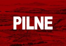 Pięć osób zginęło po czołowym zderzeniu z rodziną jadącą na lotnisko