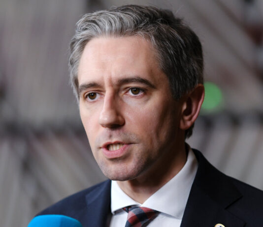 Nowy program w Irlandii Kto skorzysta z nowych zasad